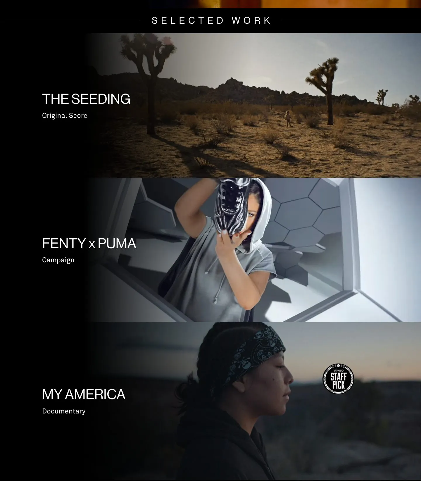The Selected Work section with The Seeding, Fenty x Puma and My America, each over its own video